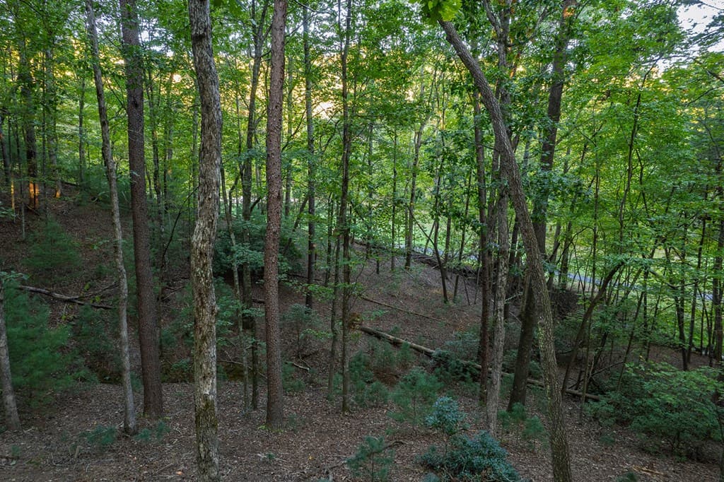 228 Toccoa Court, Ellijay GA 30540 - Photo