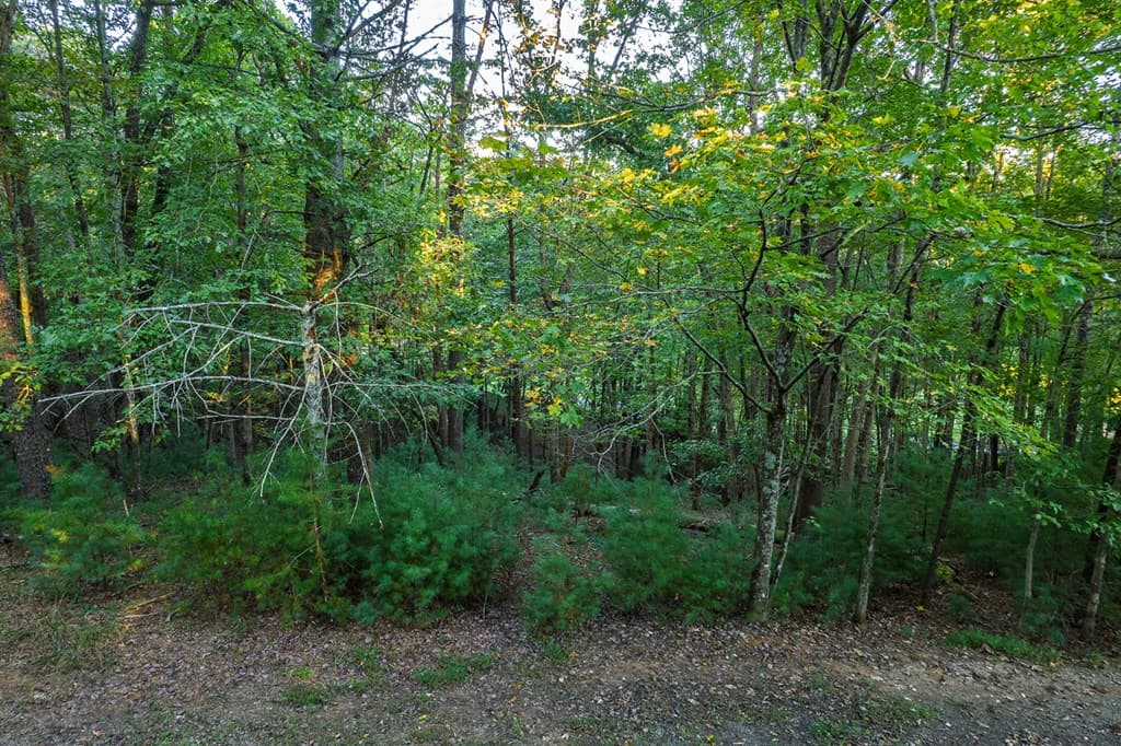 228 Toccoa Court, Ellijay GA 30540 - Photo