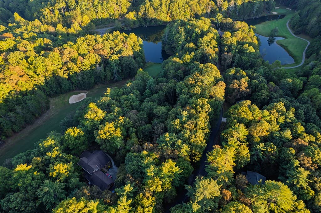 228 Toccoa Court, Ellijay GA 30540 - Photo