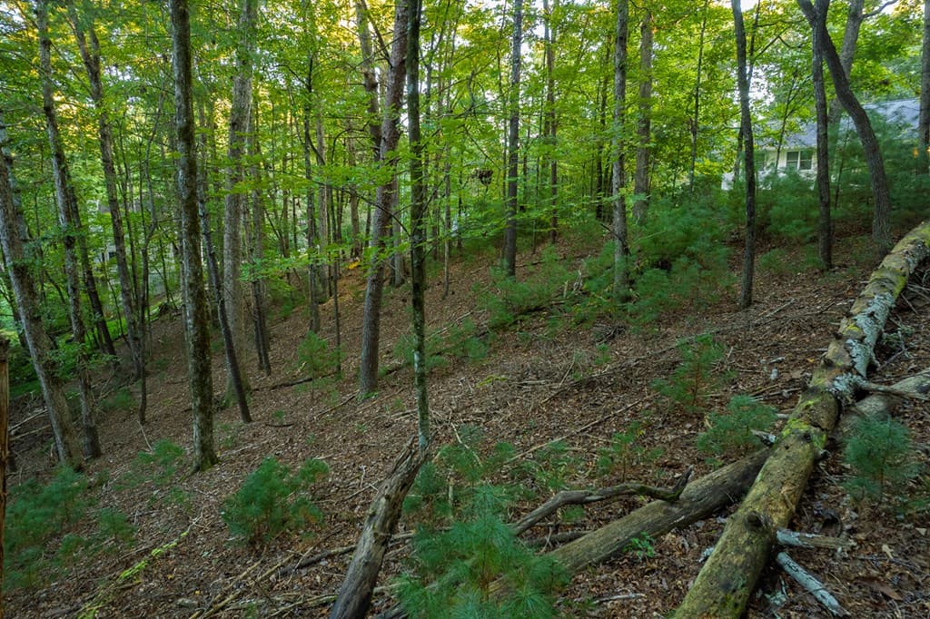228 Toccoa Court, Ellijay GA 30540 - Photo