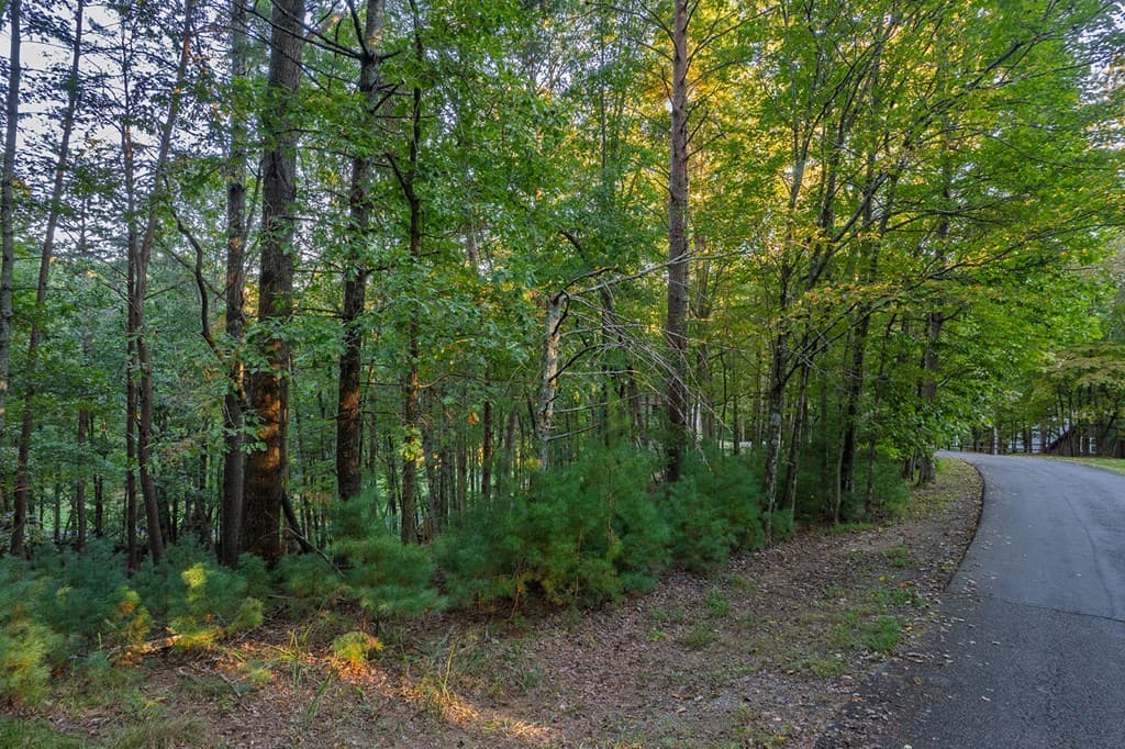 228 Toccoa Court, Ellijay GA 30540 - Photo