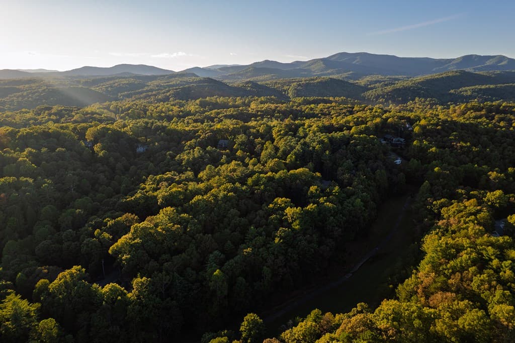 228 Toccoa Court, Ellijay GA 30540 - Photo
