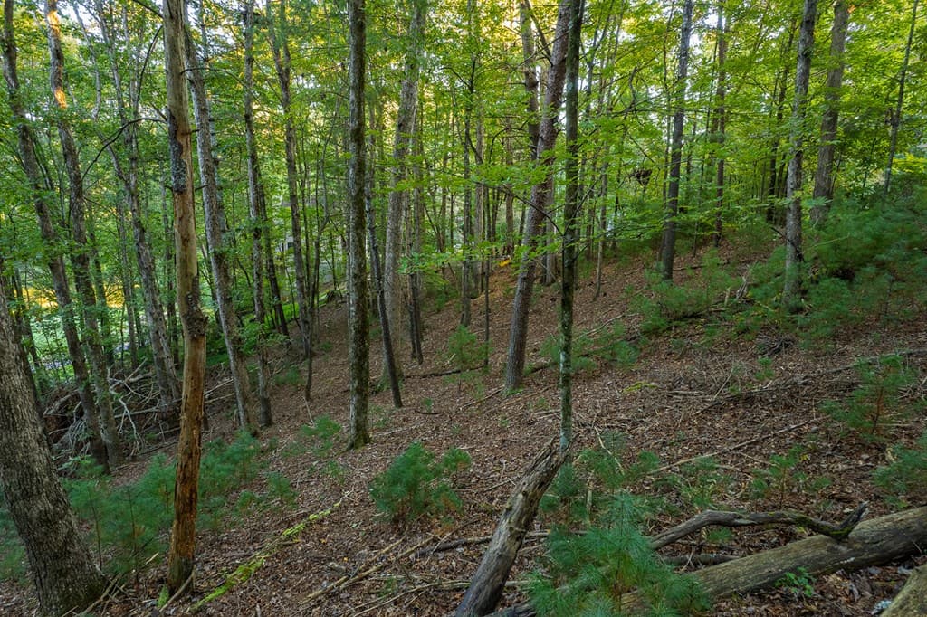 228 Toccoa Court, Ellijay GA 30540 - Photo