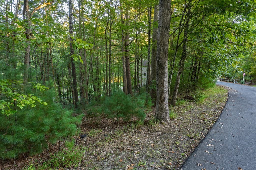 228 Toccoa Court, Ellijay GA 30540 - Photo