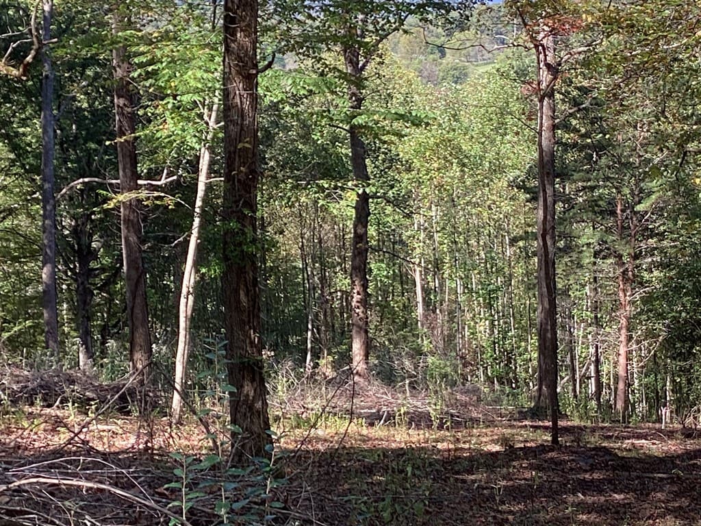 Lot 2 Buckhead Hills, Hiawassee GA 30546 - Photo