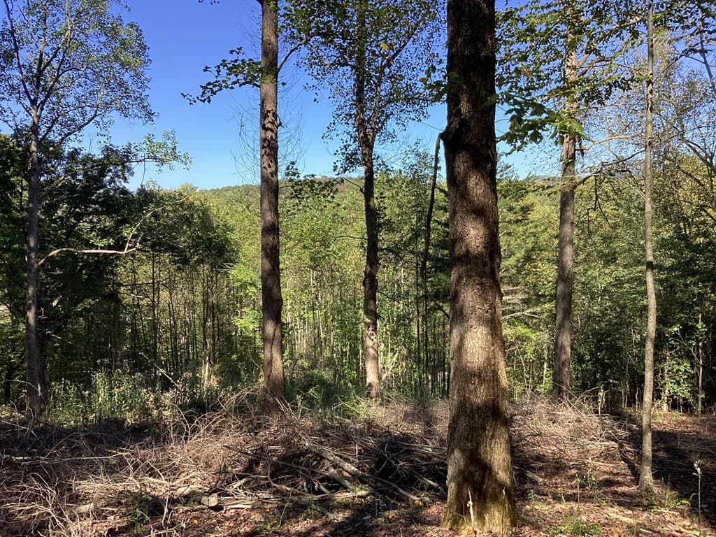 Lot 2 Buckhead Hills, Hiawassee GA 30546 - Photo