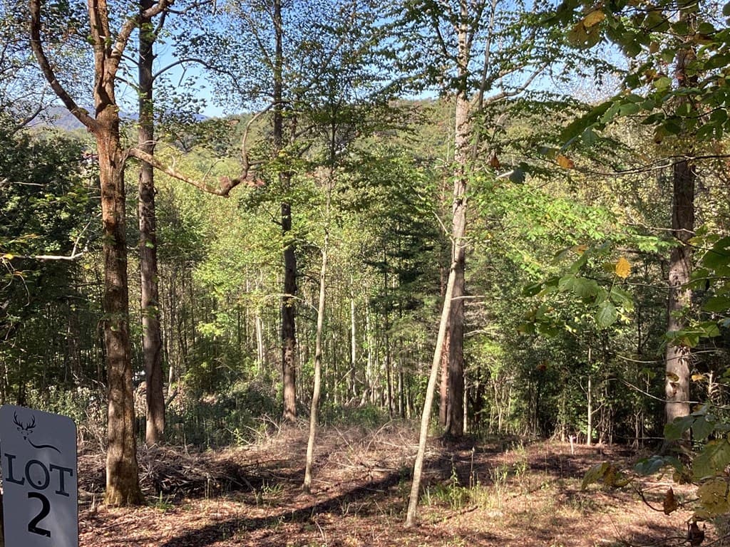 Lot 2 Buckhead Hills, Hiawassee GA 30546 - Photo