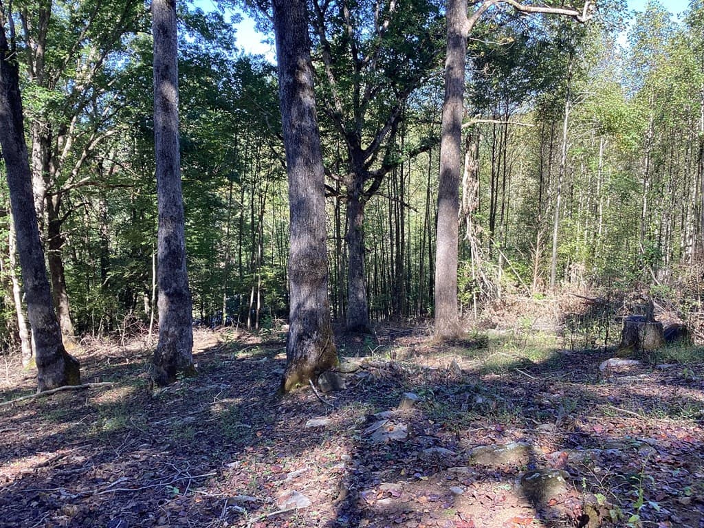Lot 2 Buckhead Hills, Hiawassee GA 30546 - Photo