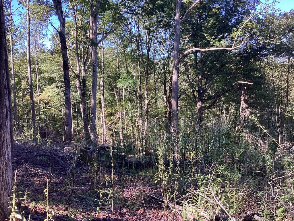 Lot 2 Buckhead Hills, Hiawassee GA 30546 - Photo