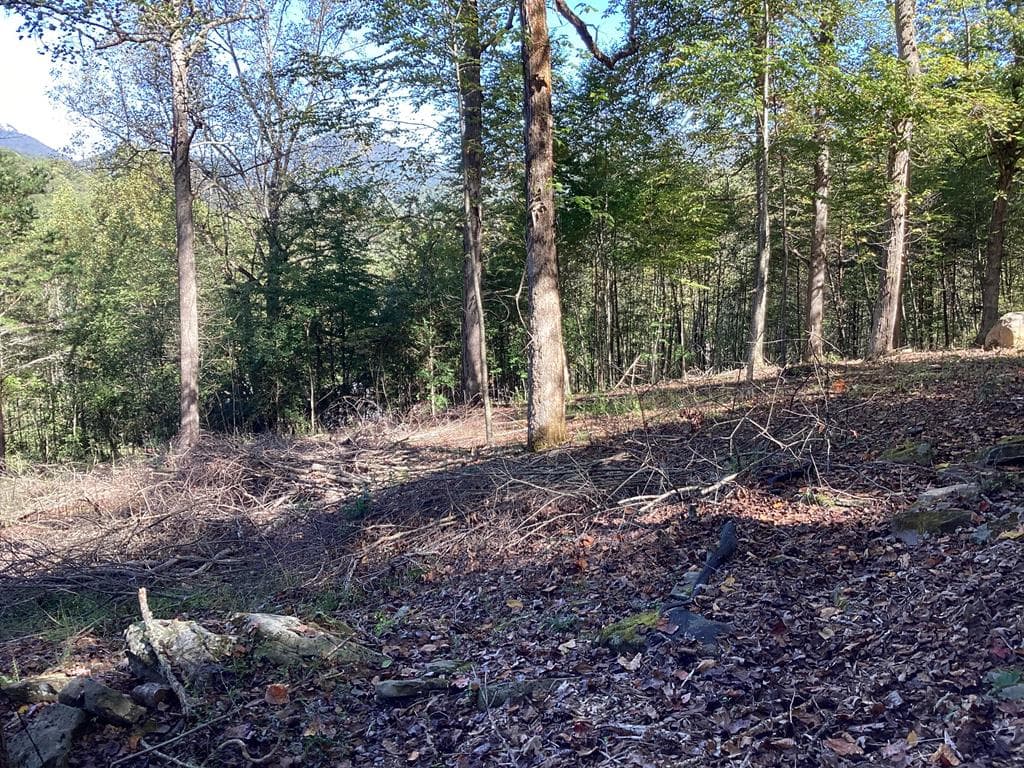 Lot 2 Buckhead Hills, Hiawassee GA 30546 - Primary photo