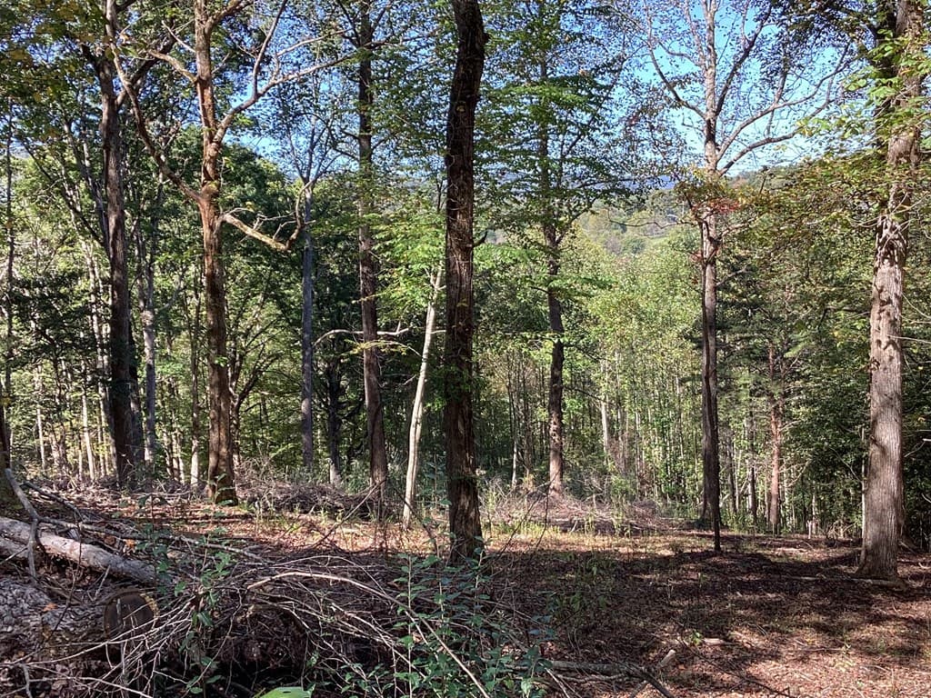 Lot 2 Buckhead Hills, Hiawassee GA 30546 - Photo
