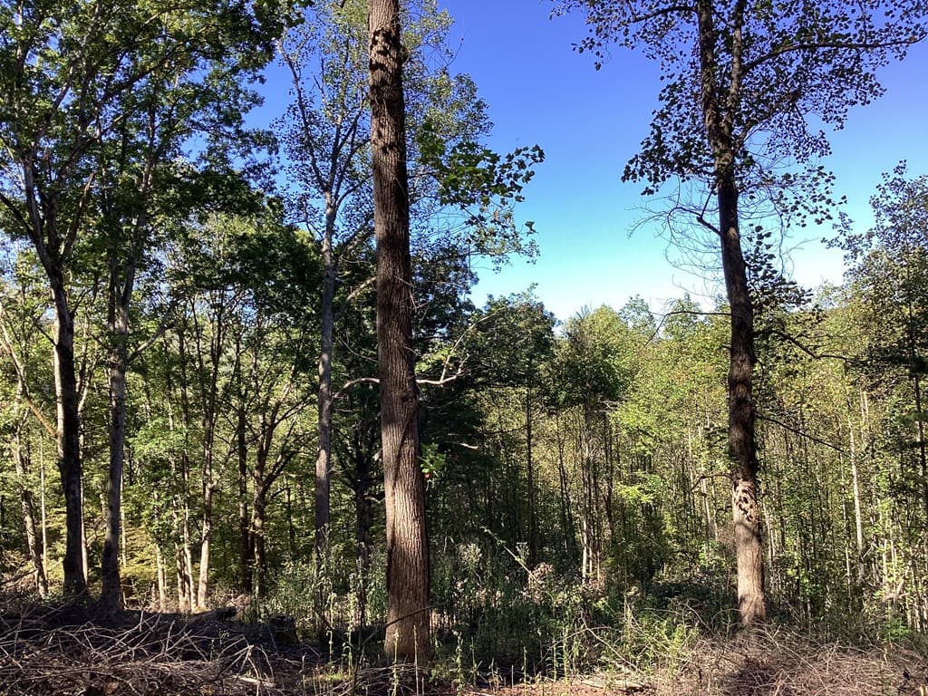Lot 2 Buckhead Hills, Hiawassee GA 30546 - Photo