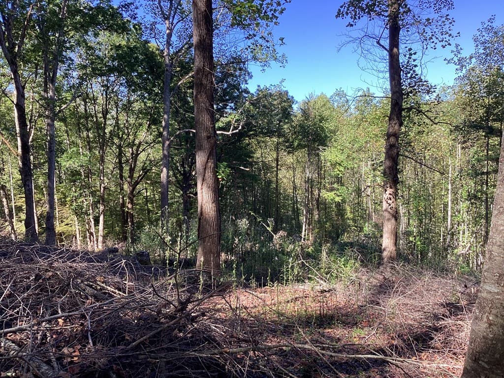 Lot 2 Buckhead Hills, Hiawassee GA 30546 - Photo