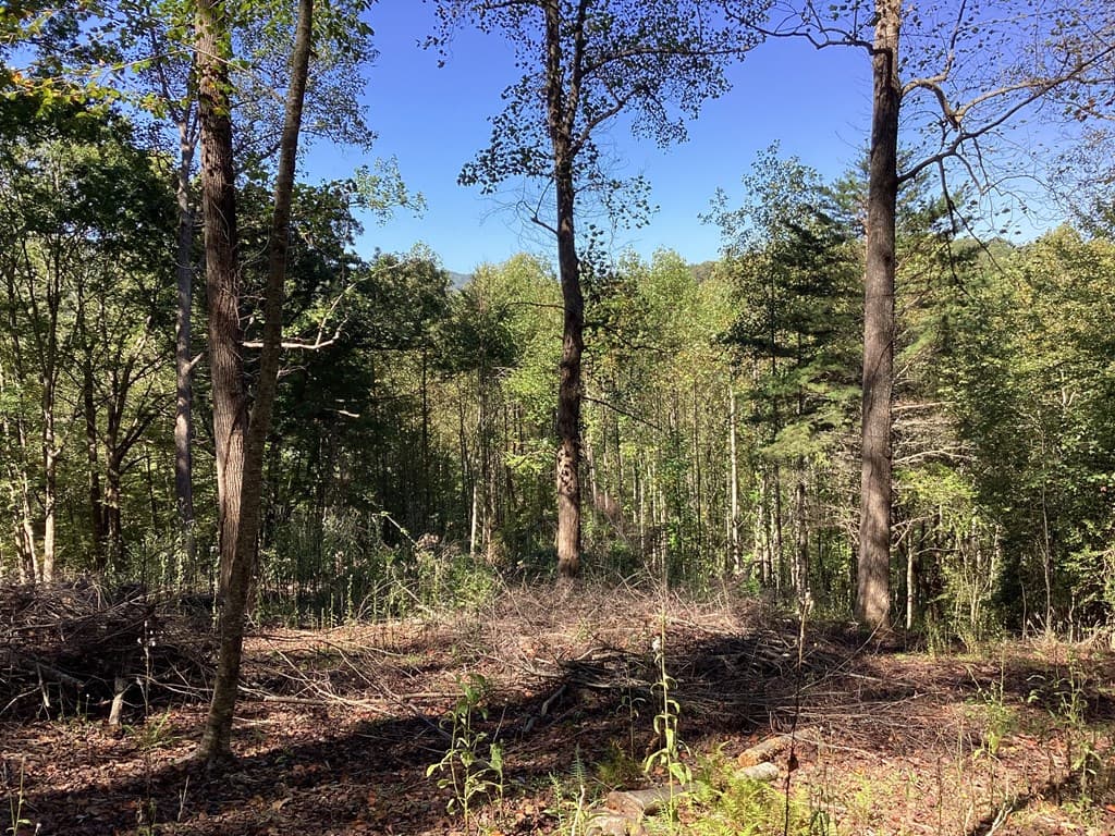 Lot 2 Buckhead Hills, Hiawassee GA 30546 - Photo