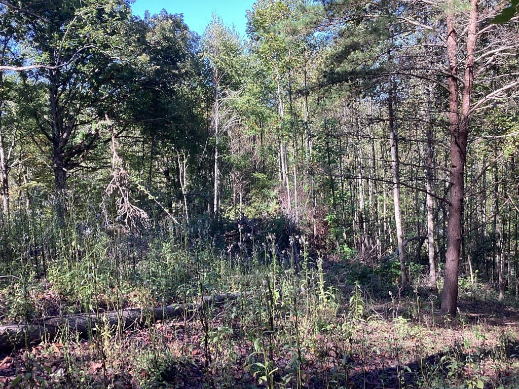 Lot 2 Buckhead Hills, Hiawassee GA 30546 - Photo