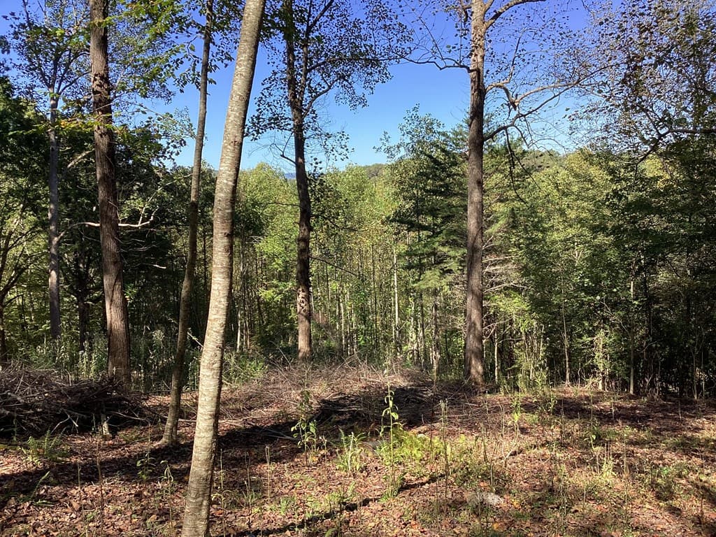 Lot 2 Buckhead Hills, Hiawassee GA 30546 - Photo