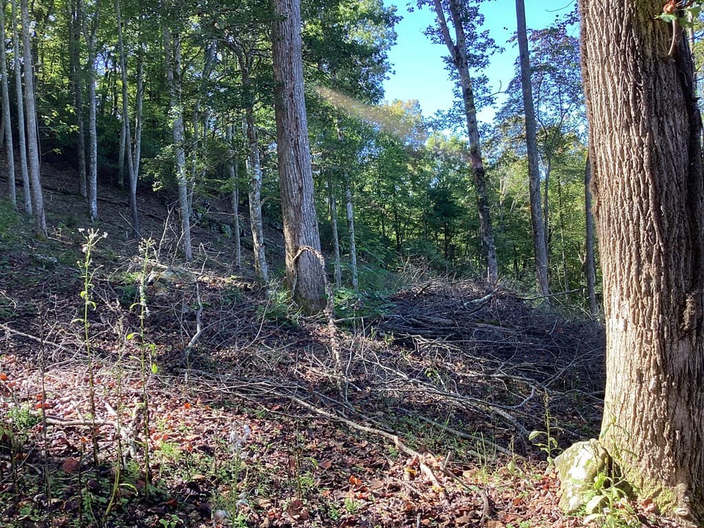 Lot 2 Buckhead Hills, Hiawassee GA 30546 - Photo