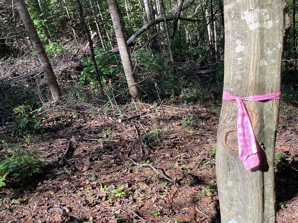 Lot 2 Buckhead Hills, Hiawassee GA 30546 - Photo