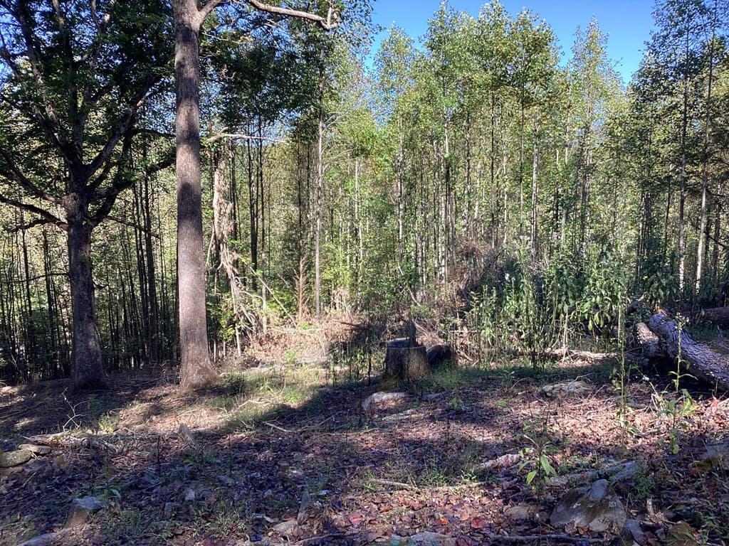 Lot 2 Buckhead Hills, Hiawassee GA 30546 - Photo