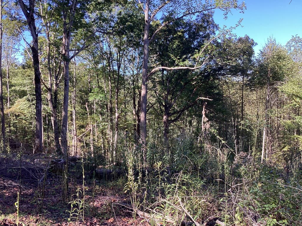 Lot 2 Buckhead Hills, Hiawassee GA 30546 - Photo