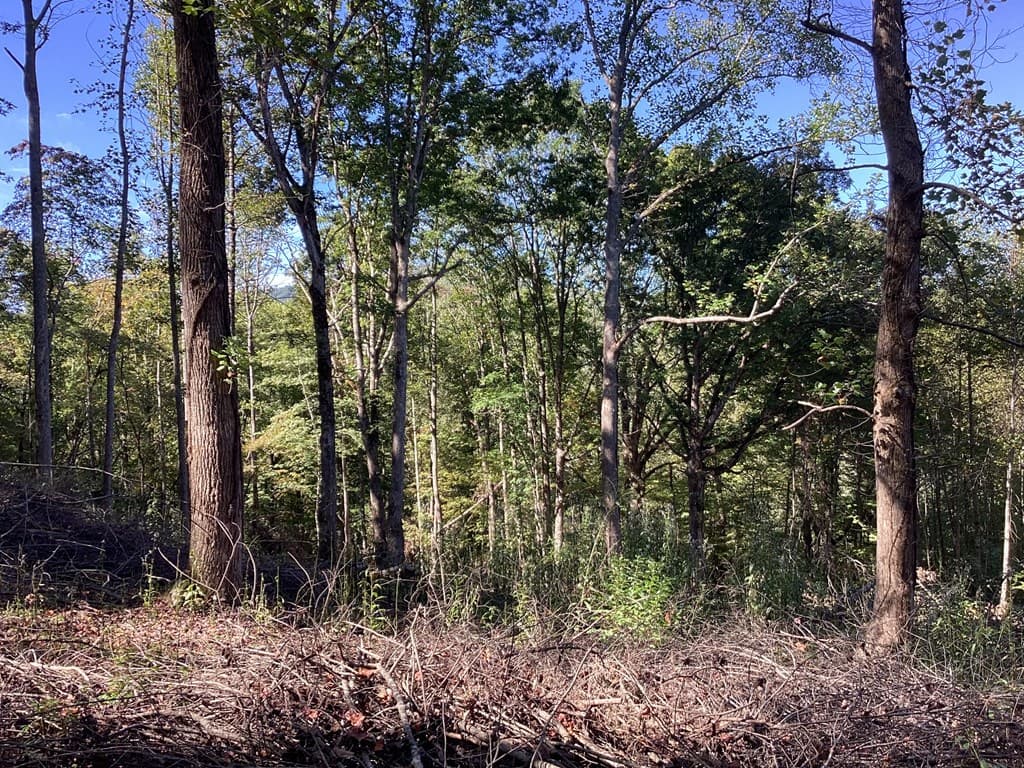 Lot 2 Buckhead Hills, Hiawassee GA 30546 - Photo