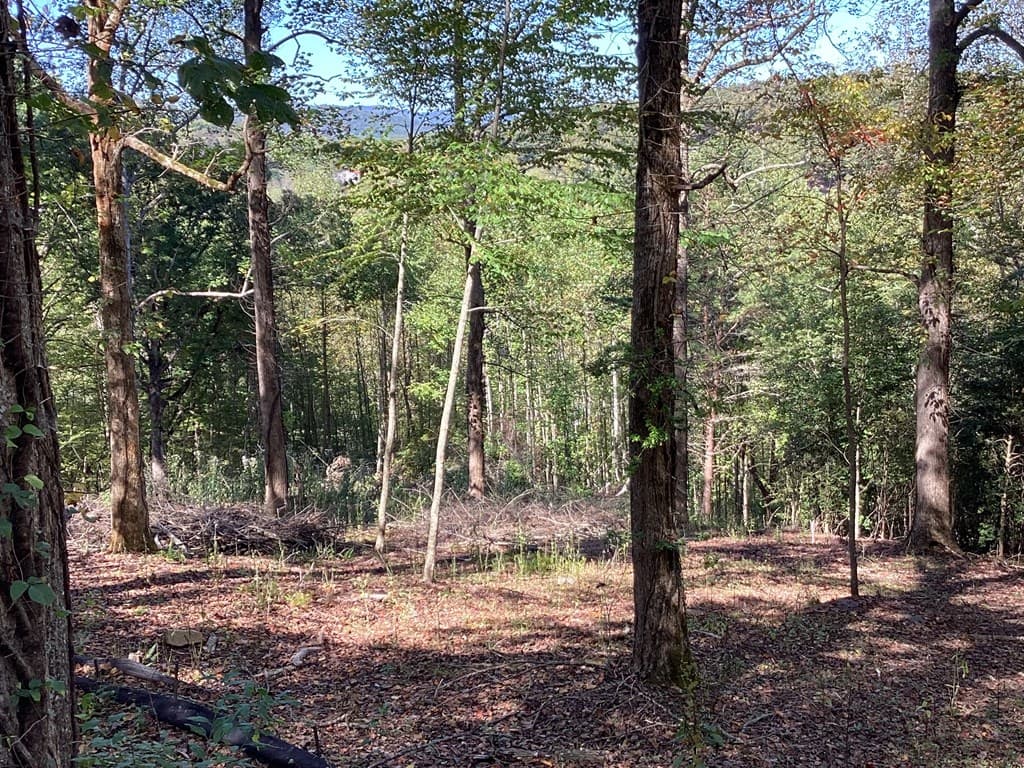 Lot 2 Buckhead Hills, Hiawassee GA 30546 - Photo