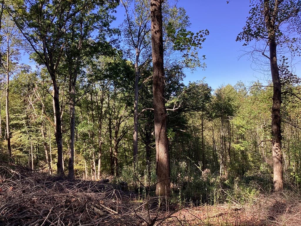 Lot 2 Buckhead Hills, Hiawassee GA 30546 - Photo