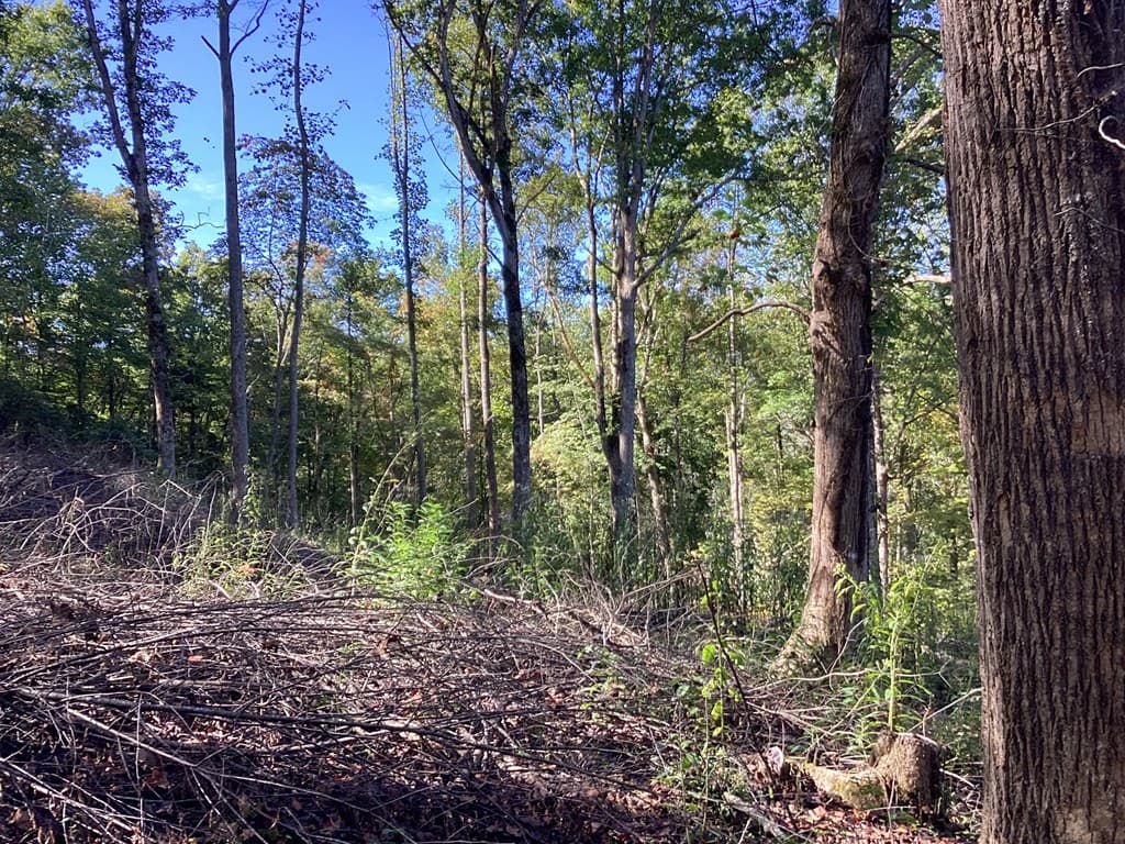 Lot 2 Buckhead Hills, Hiawassee GA 30546 - Photo