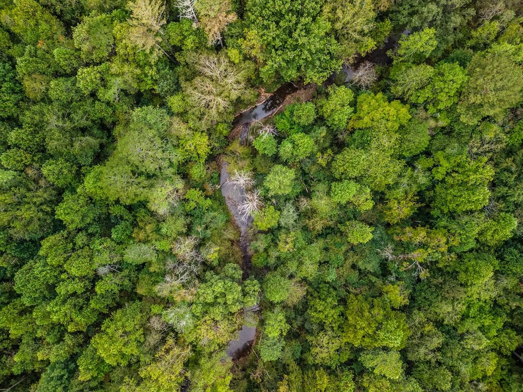 3.11 ac Old Northcutt Road, Ellijay GA 30540 - Primary photo