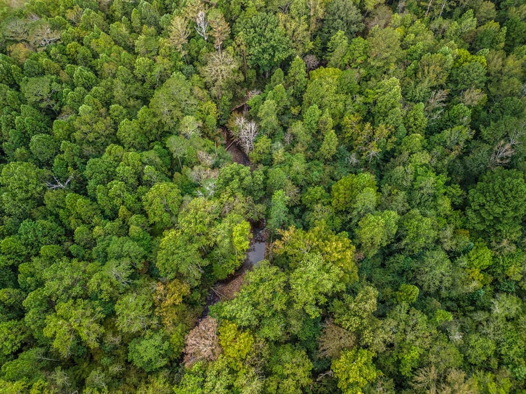2.35 ac Old Northcutt Road, Ellijay GA 30540 - Photo
