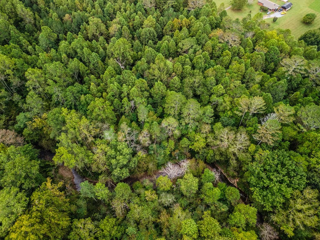 2.09 ac Old Northcutt Road, Ellijay GA 30540 - Photo