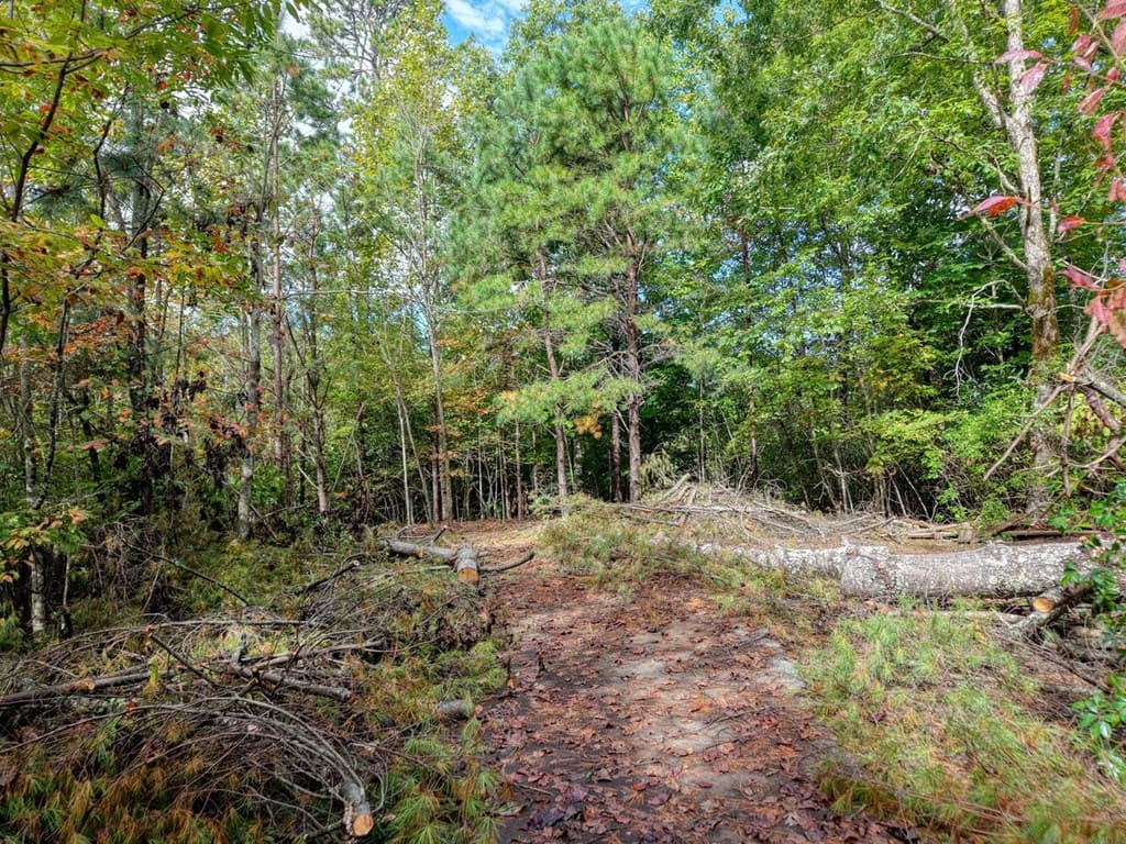 Lot 12 Smokin Ridge, Hayesville NC 28906 - Photo