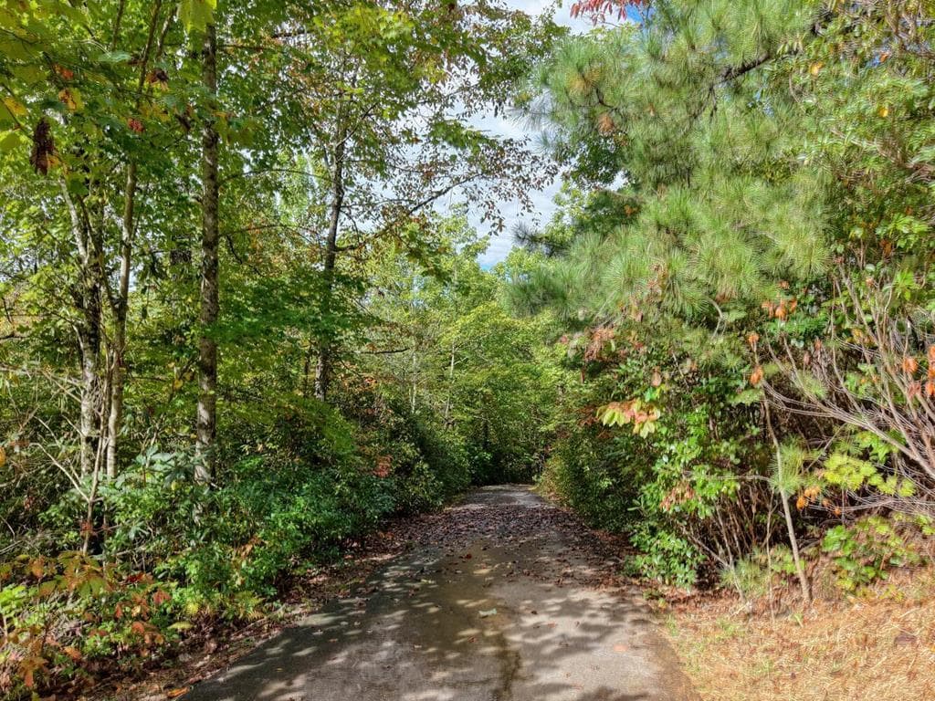 Lot 12 Smokin Ridge, Hayesville NC 28906 - Photo