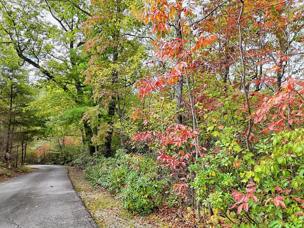 Lot 12 Smokin Ridge, Hayesville NC 28906 - Photo