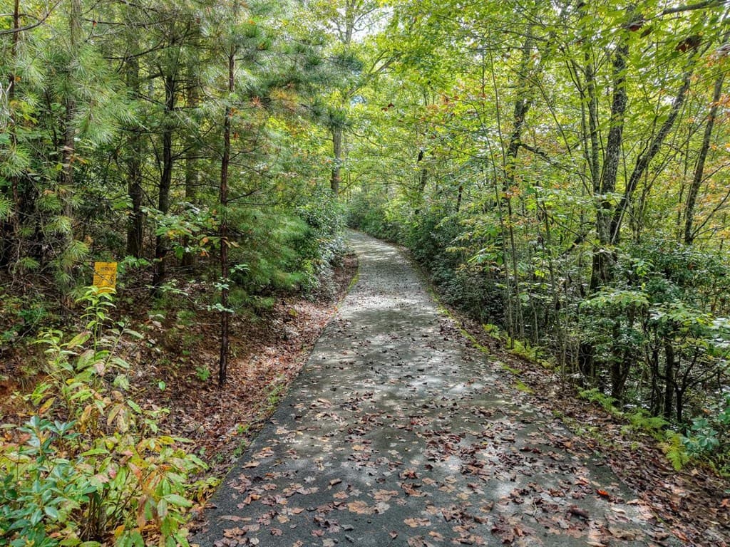 Lot 12 Smokin Ridge, Hayesville NC 28906 - Photo