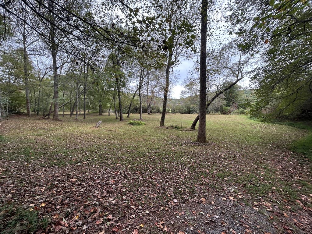 445 Twin Creeks Road, Blue Ridge GA 30513 - Photo
