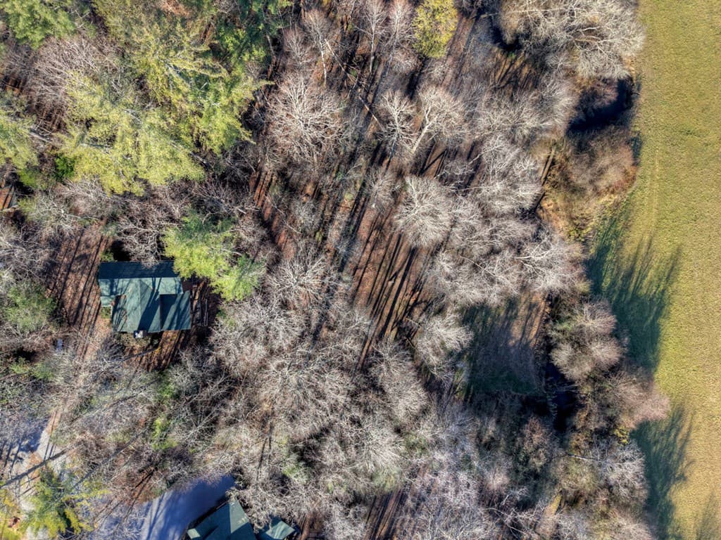 445 Twin Creeks Road, Blue Ridge GA 30513 - Photo