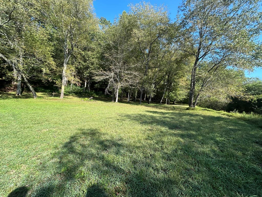 445 Twin Creeks Road, Blue Ridge GA 30513 - Photo
