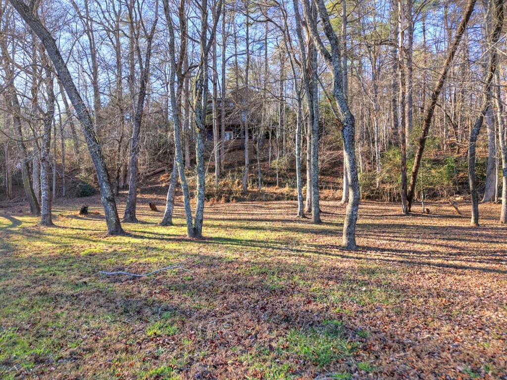 445 Twin Creeks Road, Blue Ridge GA 30513 - Photo