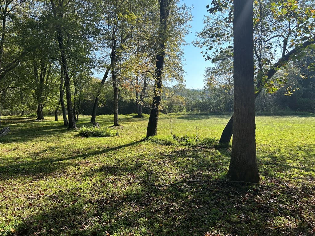 445 Twin Creeks Road, Blue Ridge GA 30513 - Photo