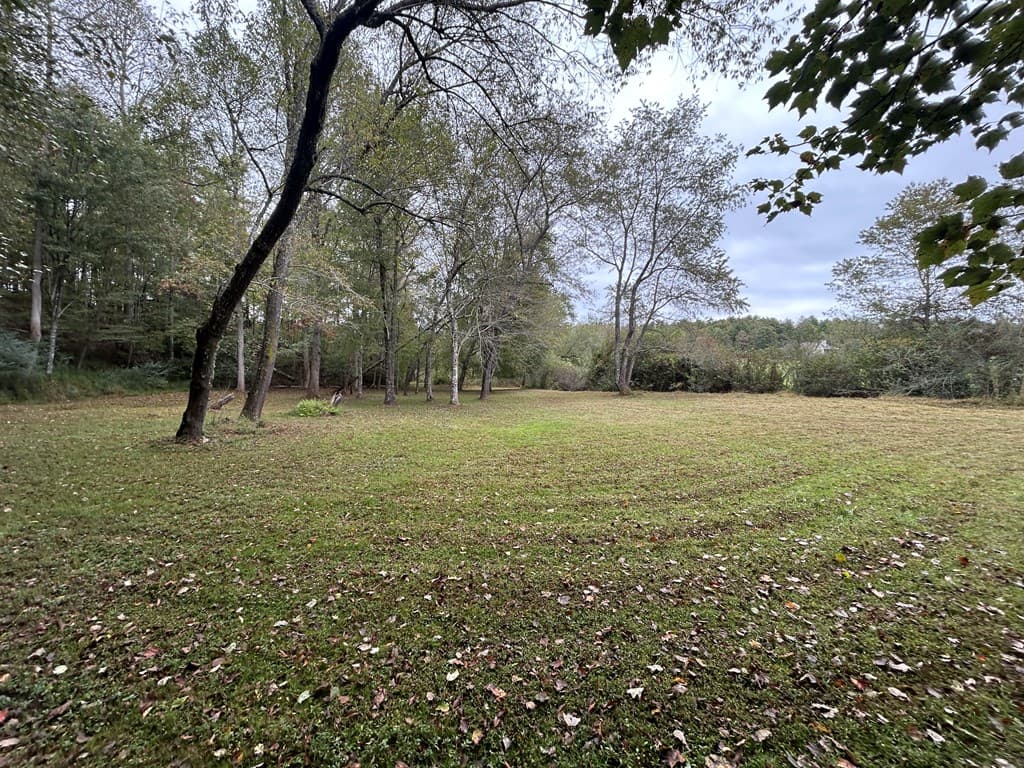445 Twin Creeks Road, Blue Ridge GA 30513 - Photo