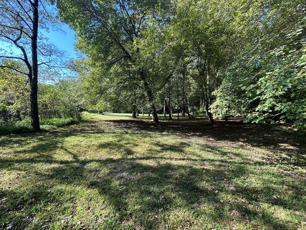 445 Twin Creeks Road, Blue Ridge GA 30513 - Photo