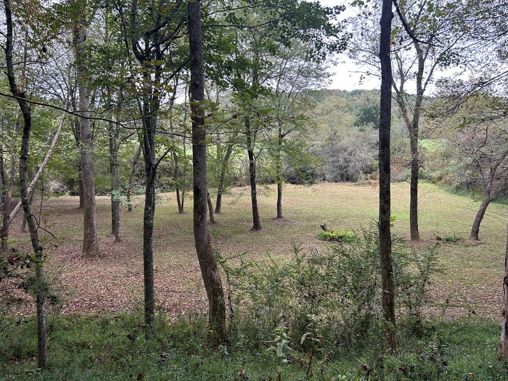 445 Twin Creeks Road, Blue Ridge GA 30513 - Photo