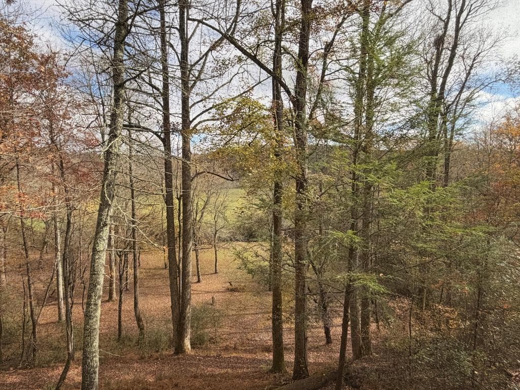 445 Twin Creeks Road, Blue Ridge GA 30513 - Photo