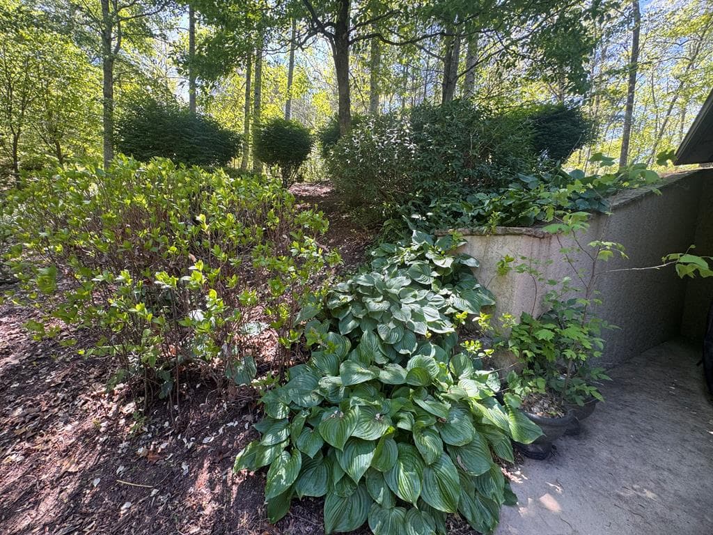 197 Eagles View Road, Hayesville NC 28904 - Photo