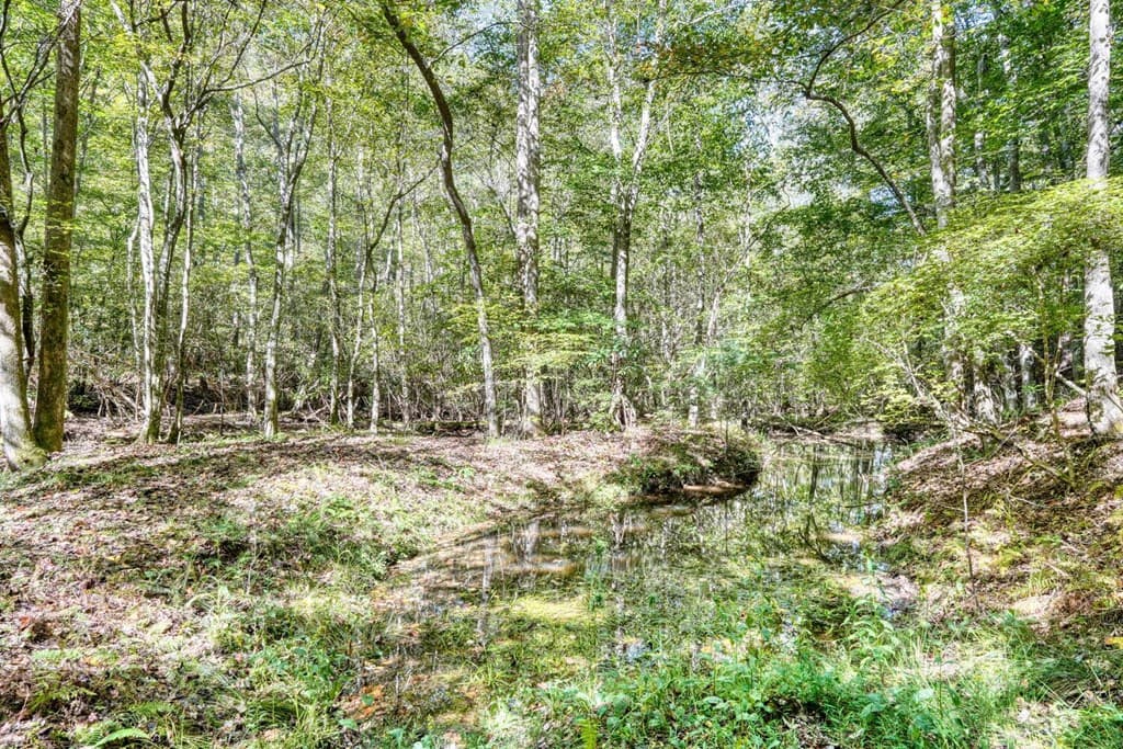 3966 Hickory Nut Drive, Hiawassee GA 30546 - Photo