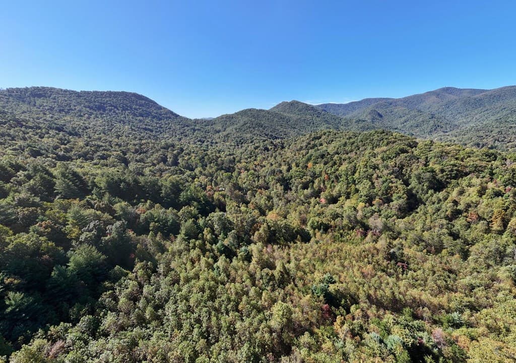 3966 Hickory Nut Drive, Hiawassee GA 30546 - Photo
