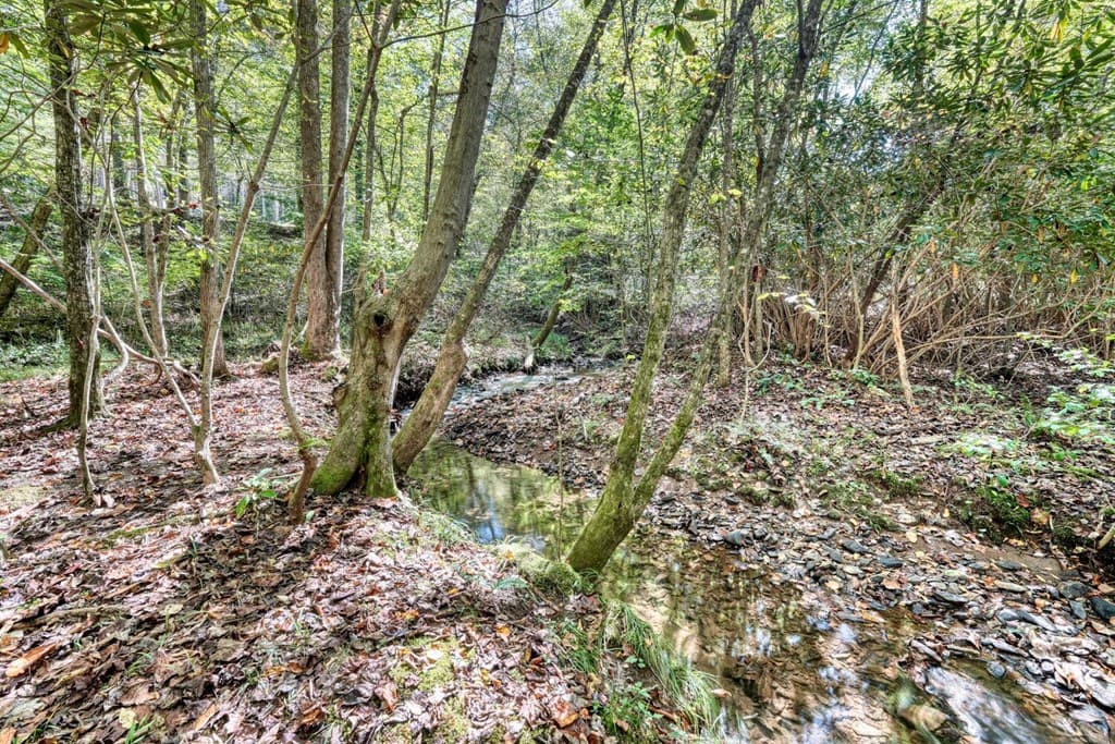 3966 Hickory Nut Drive, Hiawassee GA 30546 - Photo