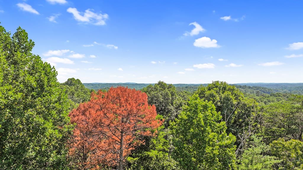 LOT 36 Timberwalk Drive, Ellijay GA 30540 - Photo