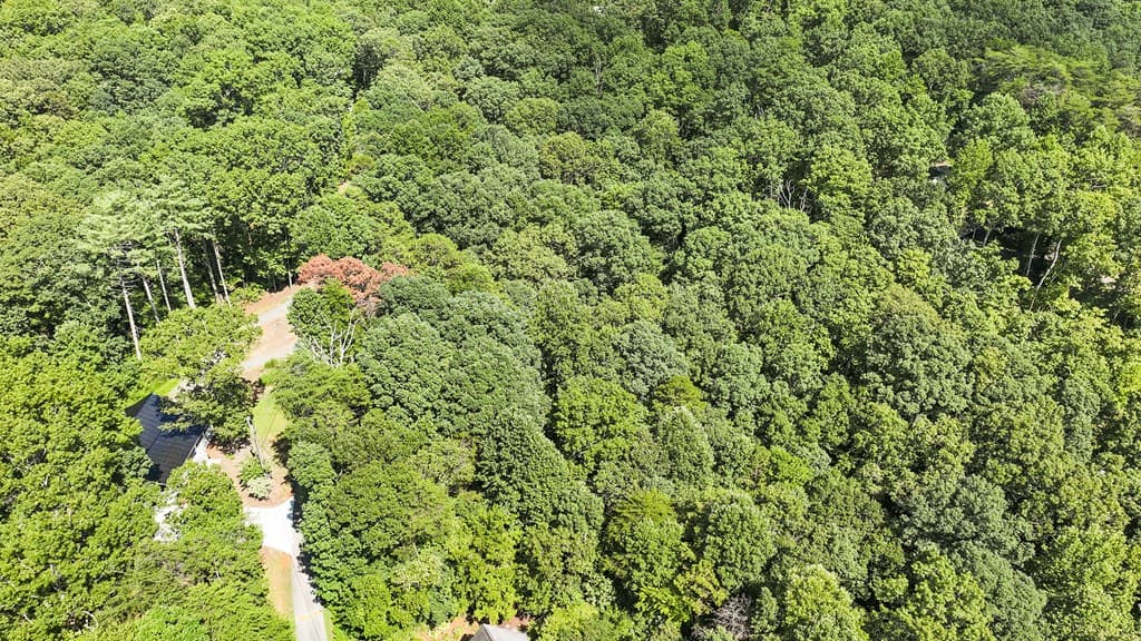 LOT 36 Timberwalk Drive, Ellijay GA 30540 - Photo